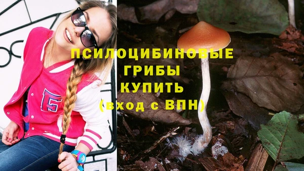 2c-b Зеленокумск