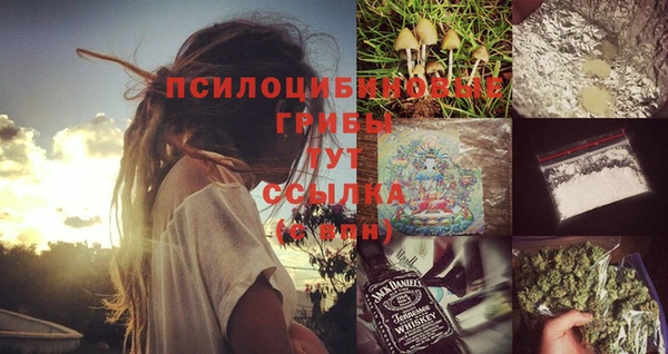 мдпв Богданович