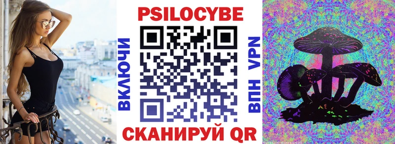 мега вход  Коммунар  Галлюциногенные грибы Cubensis  как найти закладки 